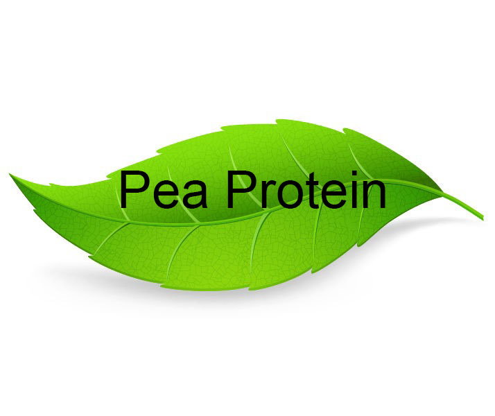 Pea Protein