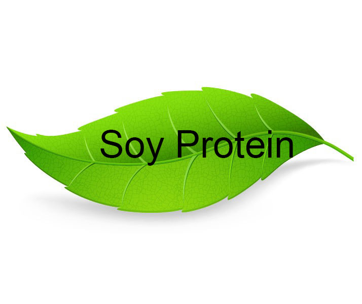 Soy Protein